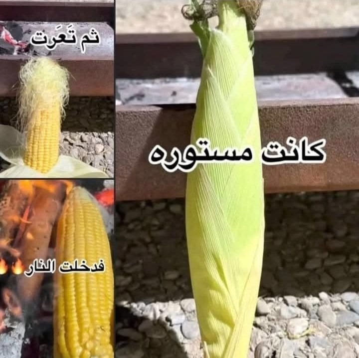 وليد | كود نايس ون AH88 tweet media