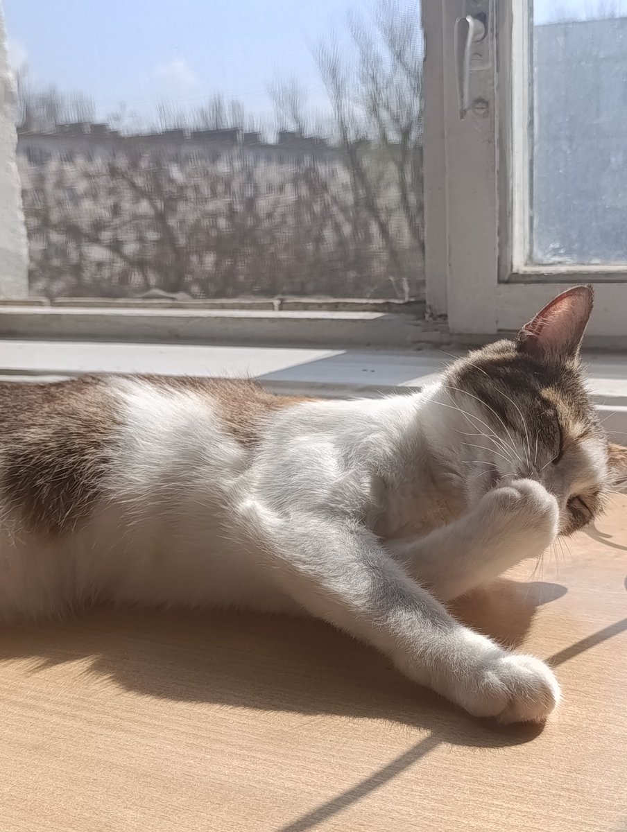 `ʍᥱʍуᥲρы ᥙᴛᥲ᧘ьян᧐чκᥙ;; tweet media