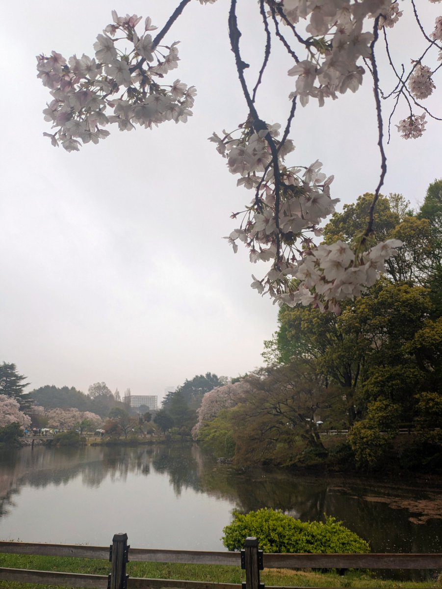 むちむち tweet media