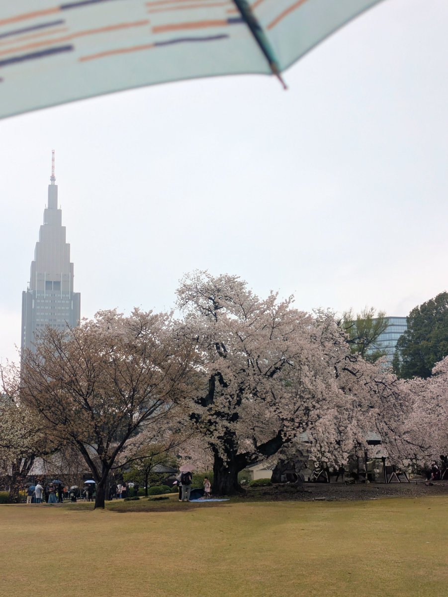 むちむち tweet media