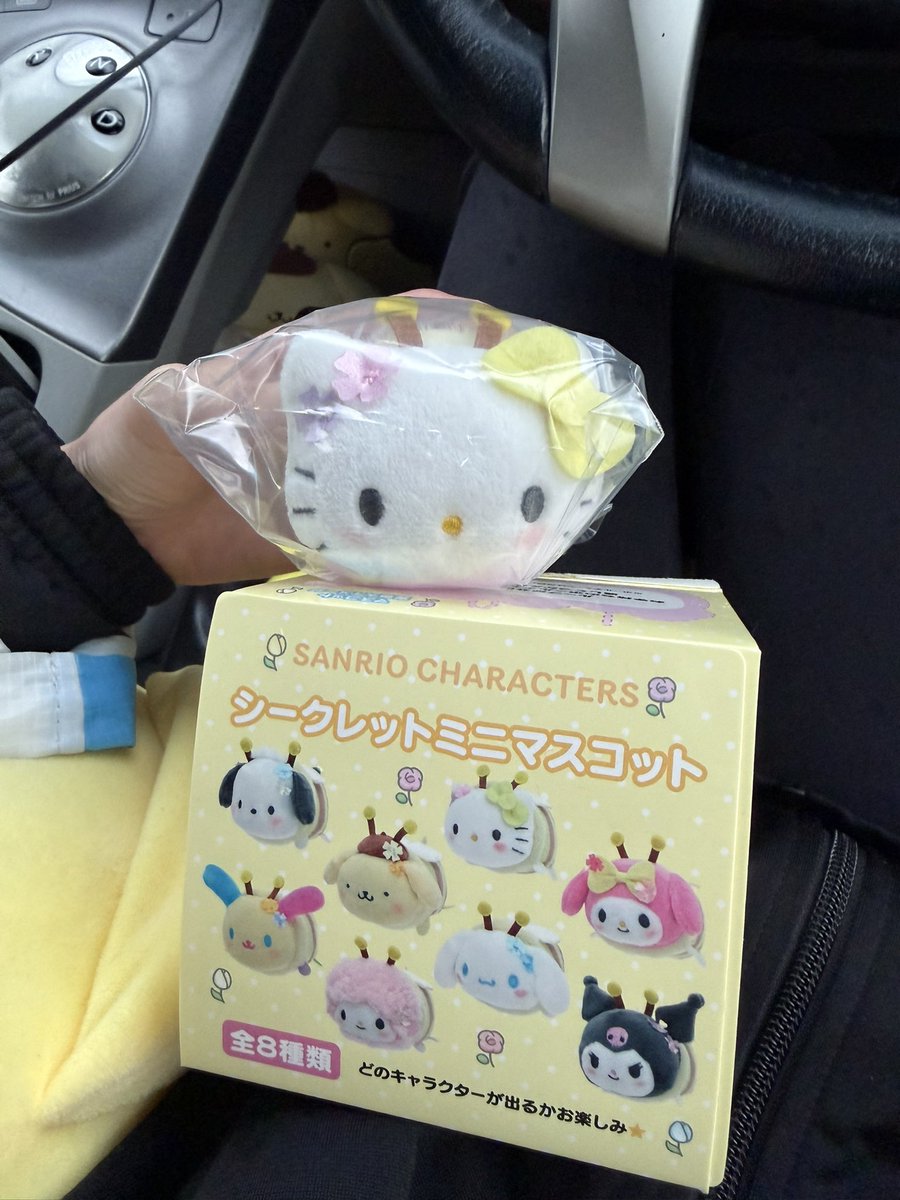 🤍🤎ぽむぽむうさぎ💛🤎 tweet media