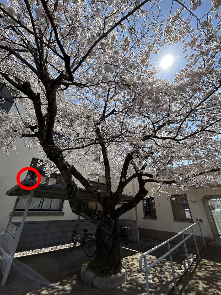 松丸夏太 tweet media