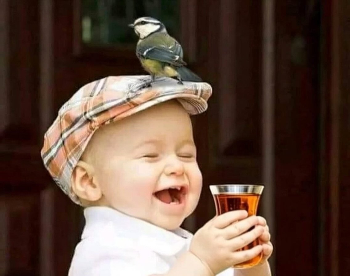 ╰❥🌷🕊✦SAKLI BAHÇE✦🌷🕊️╰❥ tweet media