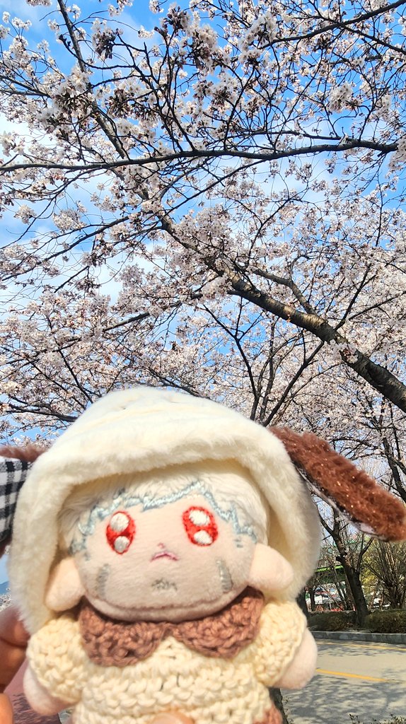 소이소스 로즈벨벳🥐 tweet media