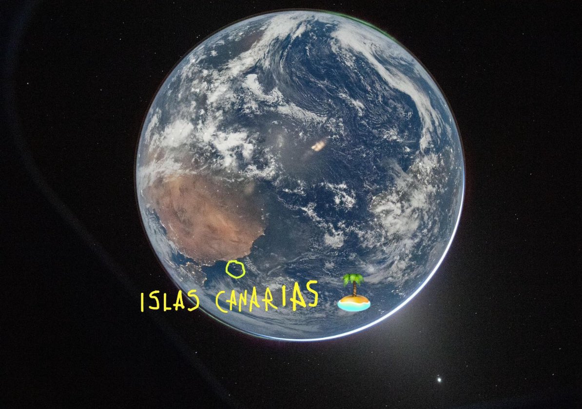 spot cas tweet media