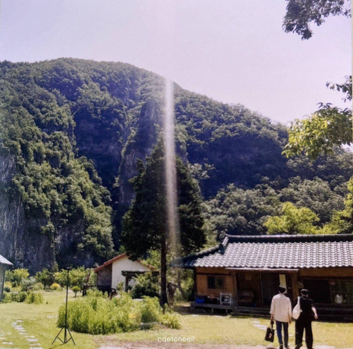 🦊🐶🩵 #unpiltered tweet media