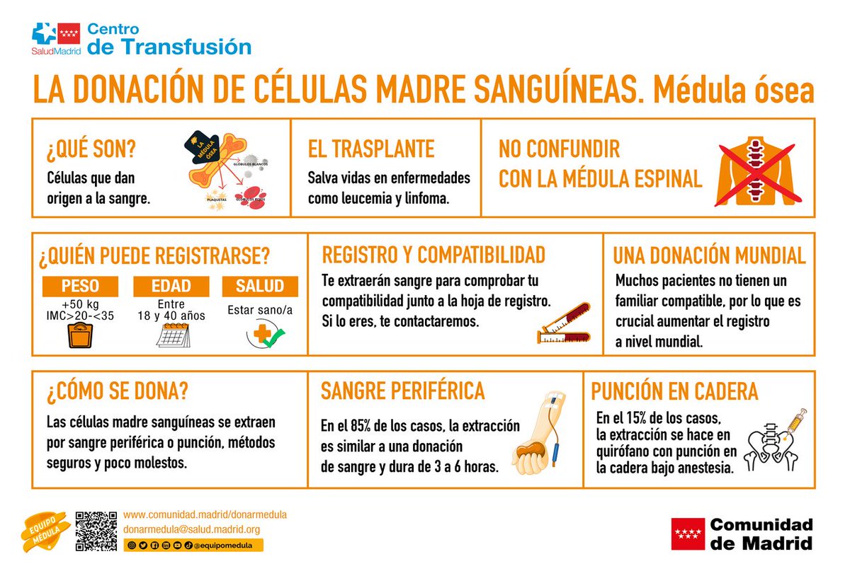 Equipo Médula tweet media