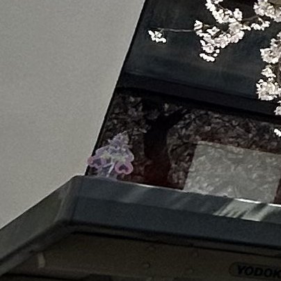 ここあ@ココア嫁マヤ妹♡千矢紺最高!きらファン同窓生ラスバレエンジョイまぞく地学部 tweet media