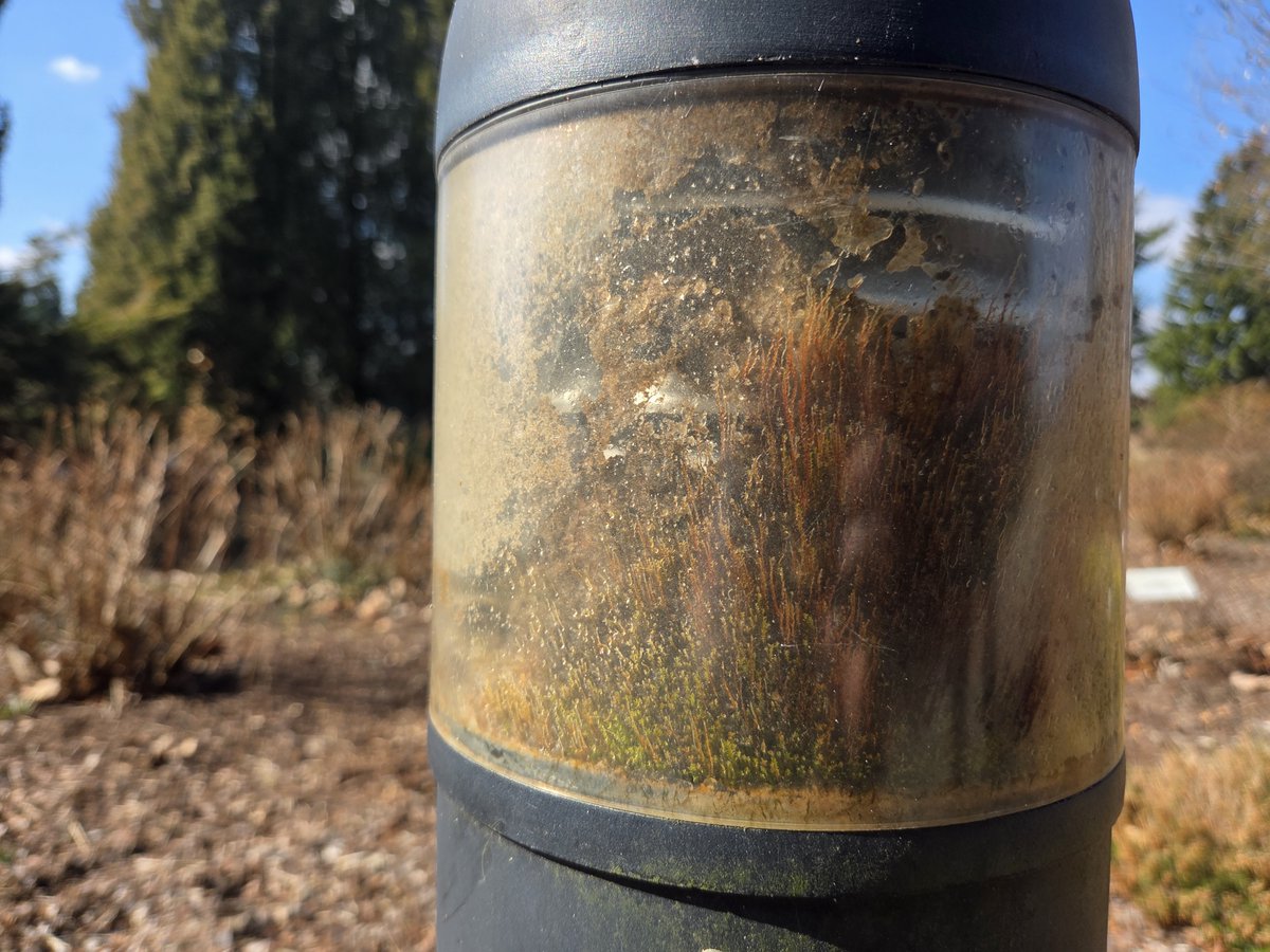 Fanija Šitca tweet media