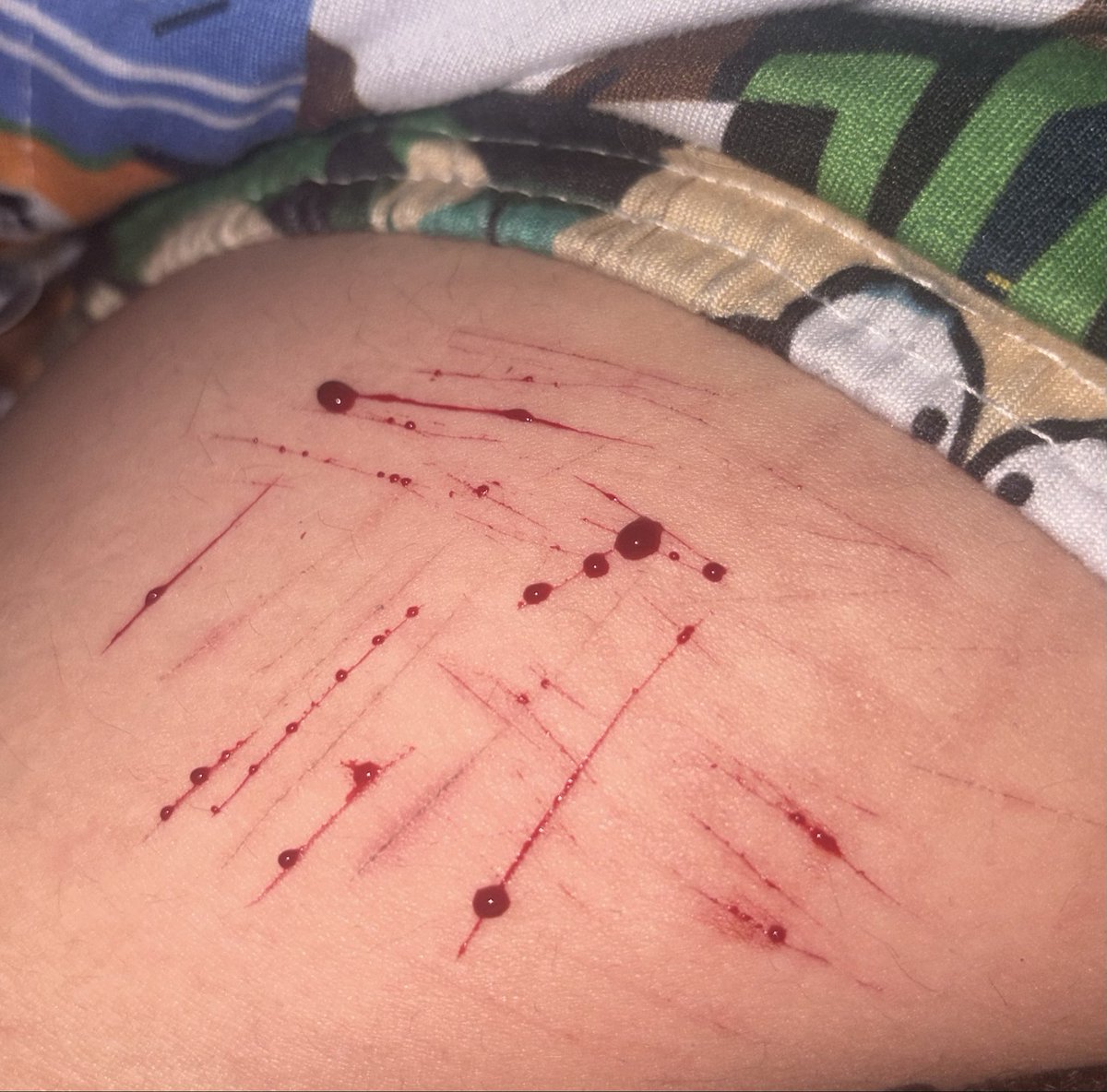 chua ⊹ ࣪ ˖ ꜱʜᴇᴅᴛᴡᴛ tweet media