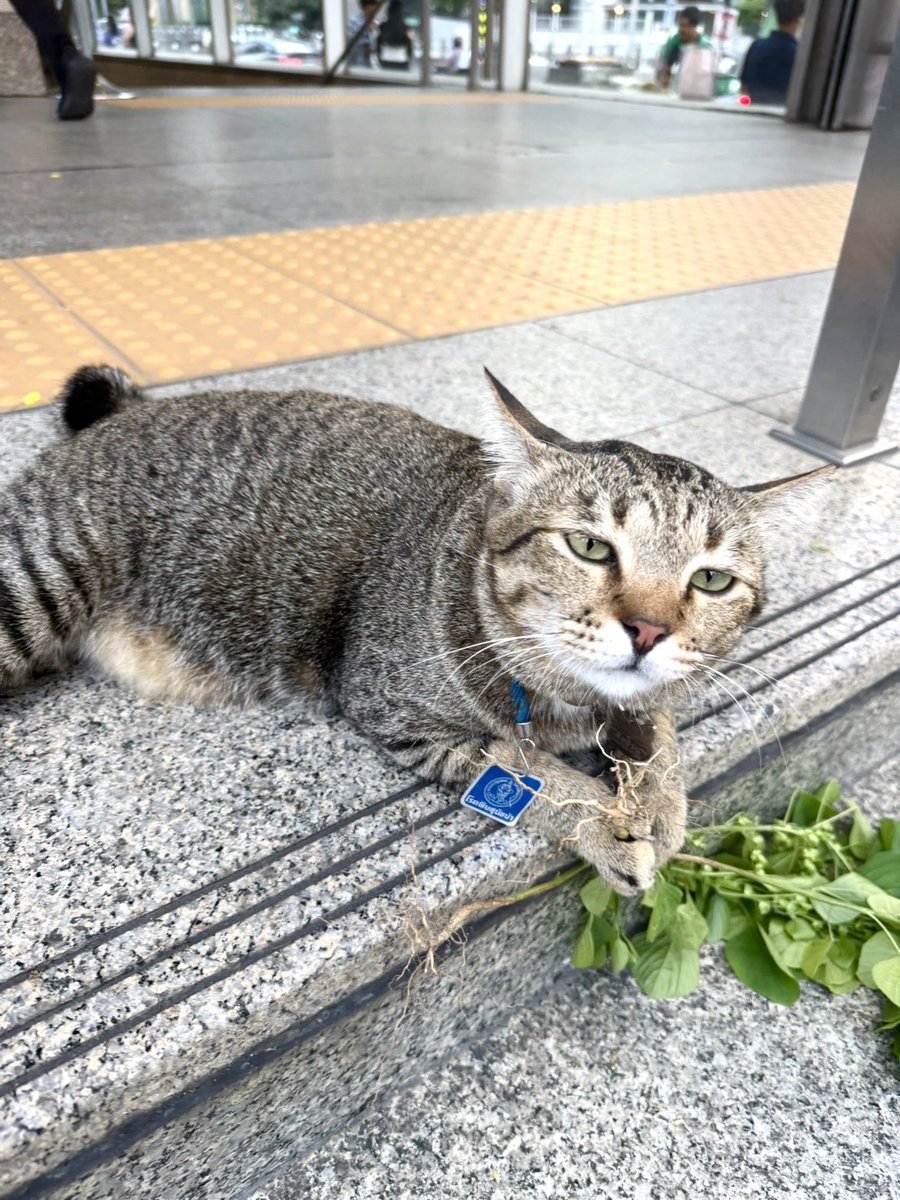 avocadokiki⁷ 💜🐻 KiKi will see tae this year tweet media