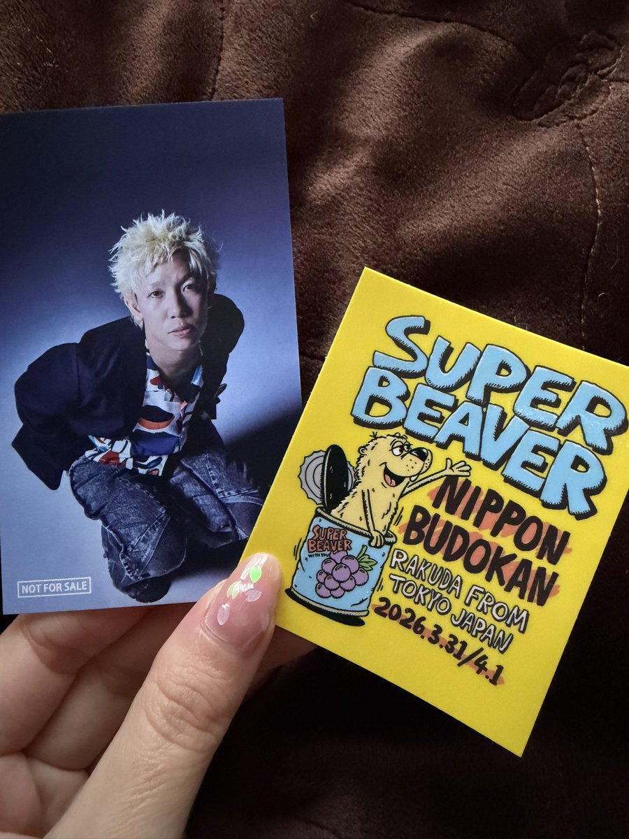 うぉんばっと🦫 tweet media