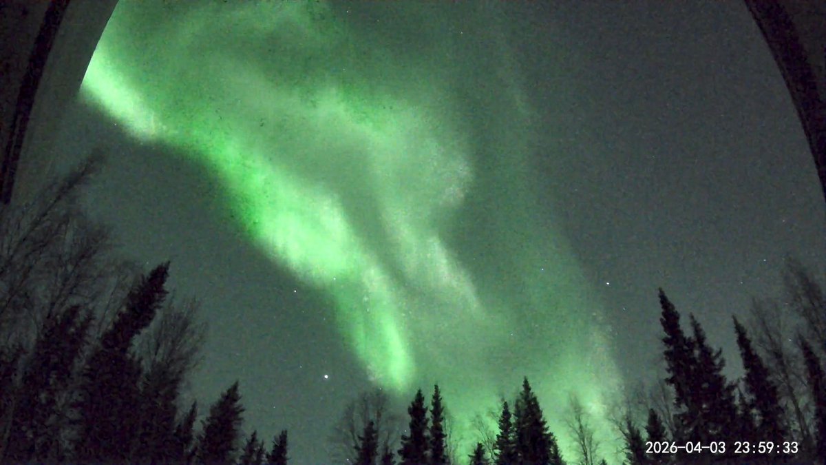 AuroraNotify tweet media