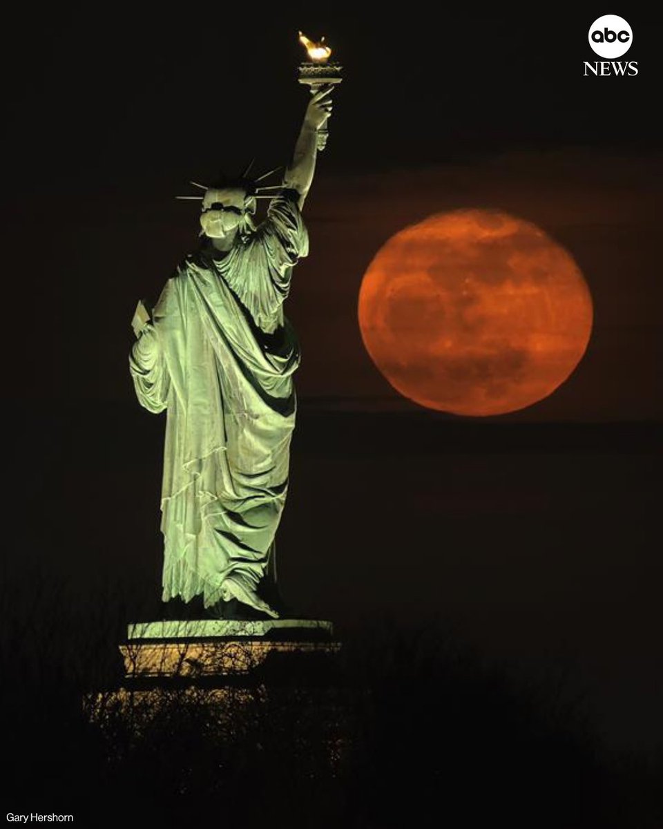 ABC News tweet media