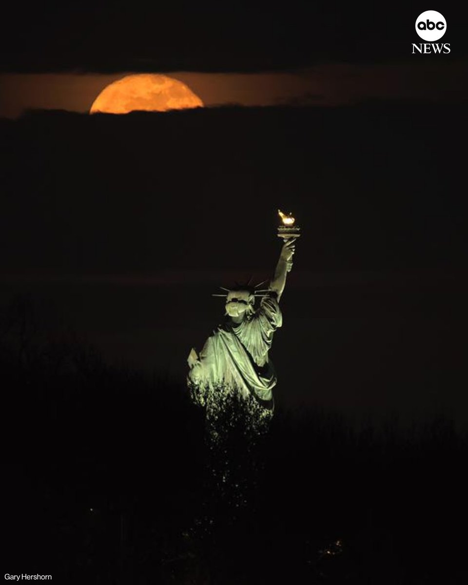 ABC News tweet media