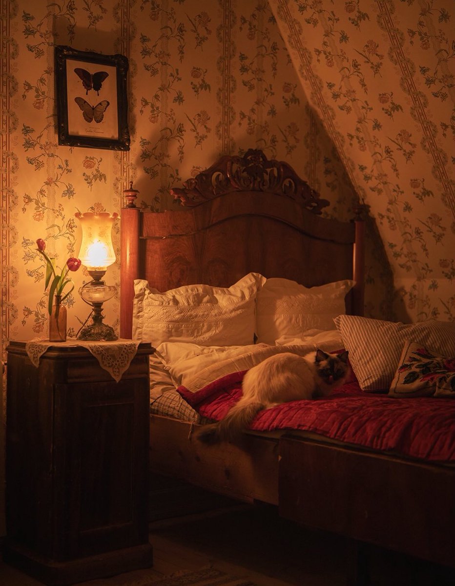 لارا tweet media