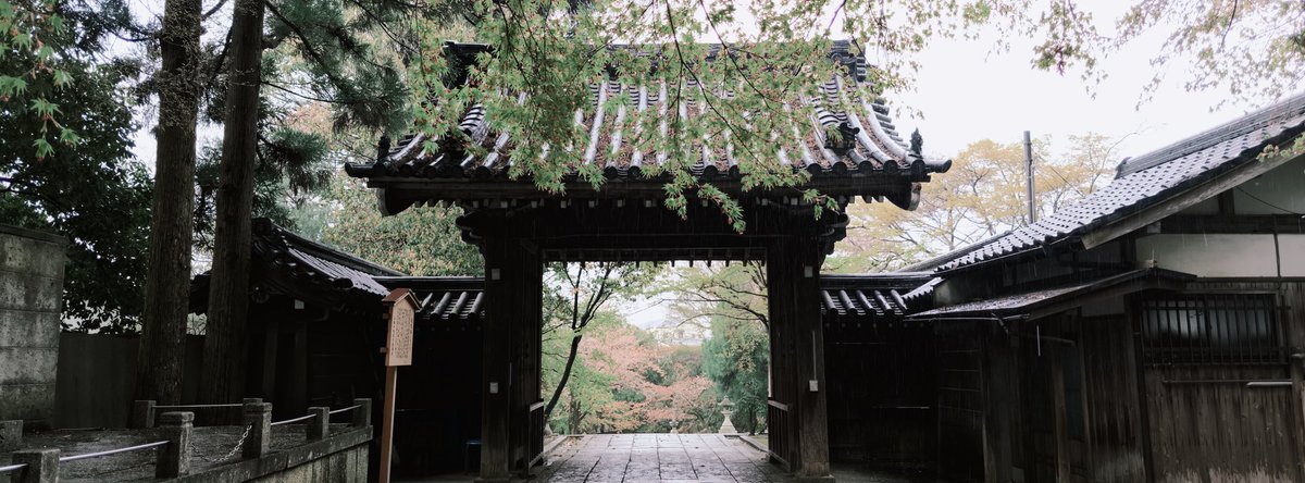 馬走日 tweet media