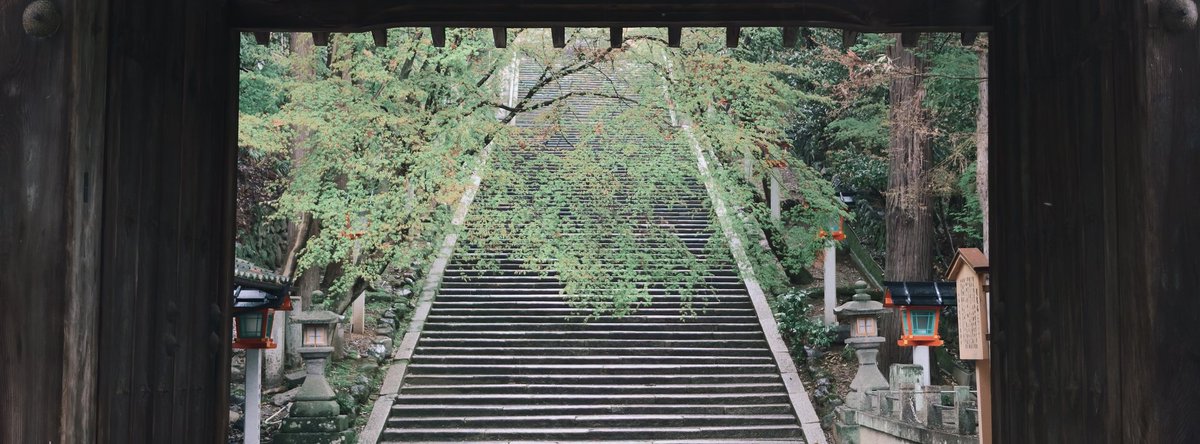 馬走日 tweet media