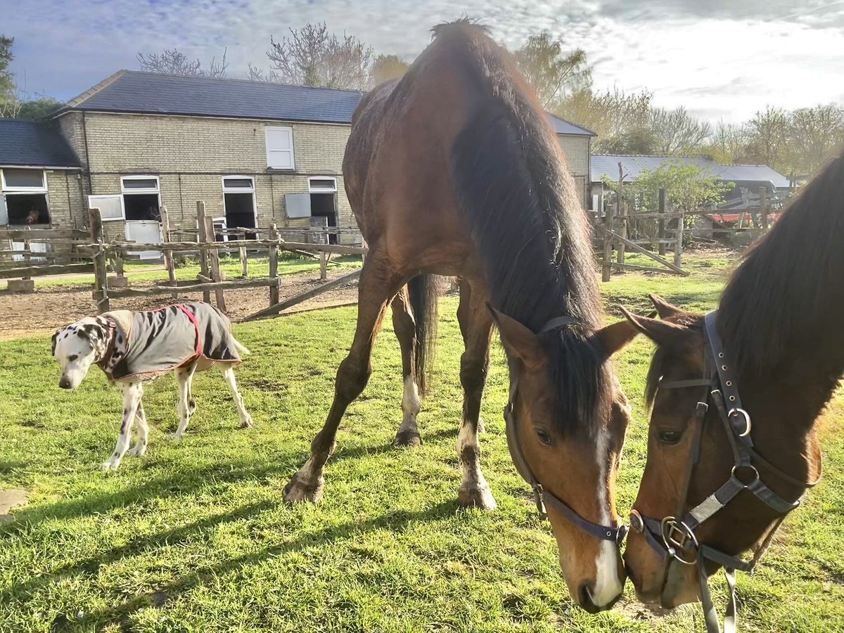 John Berry tweet media