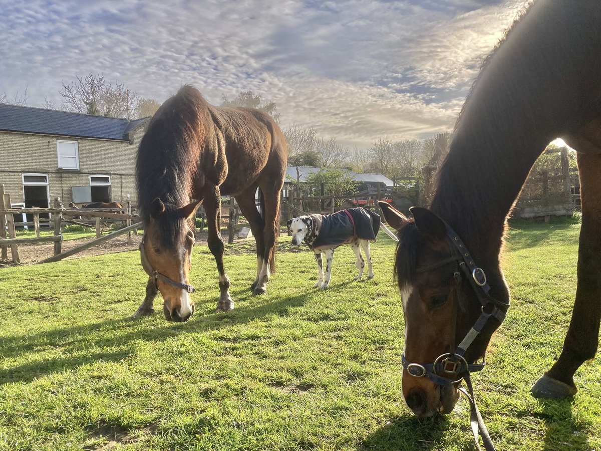 John Berry tweet media