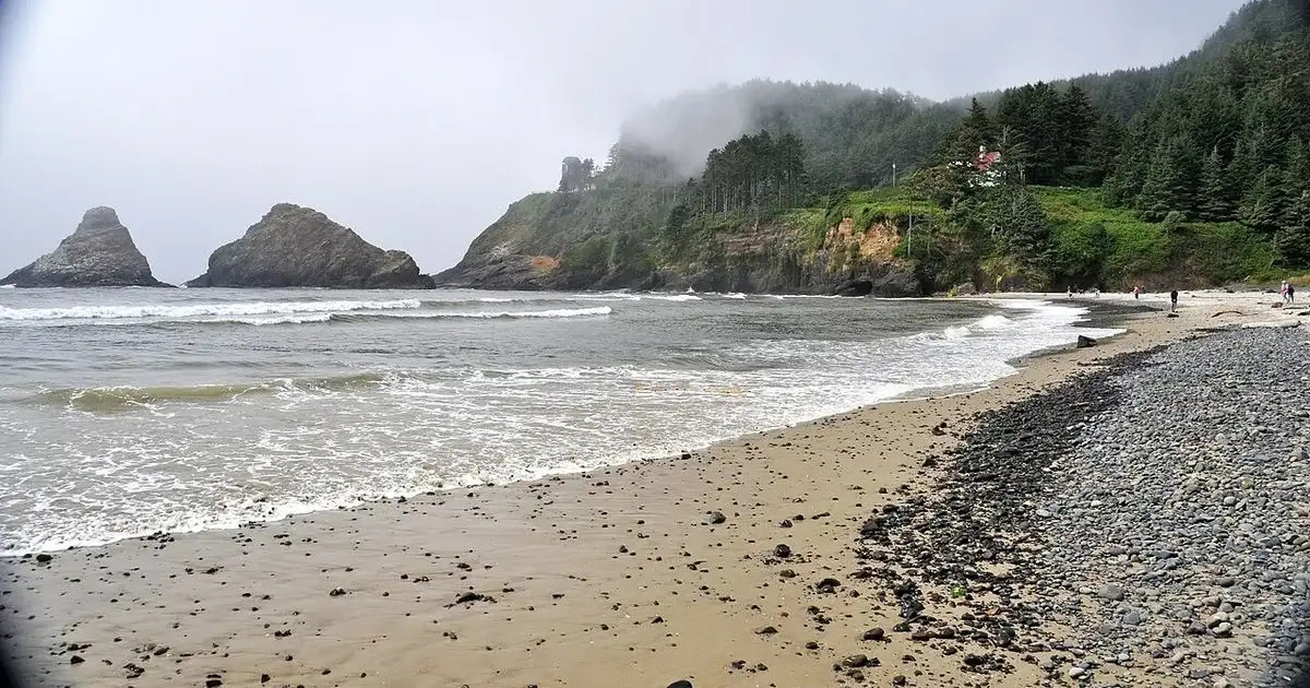 Theman Edit tweet media