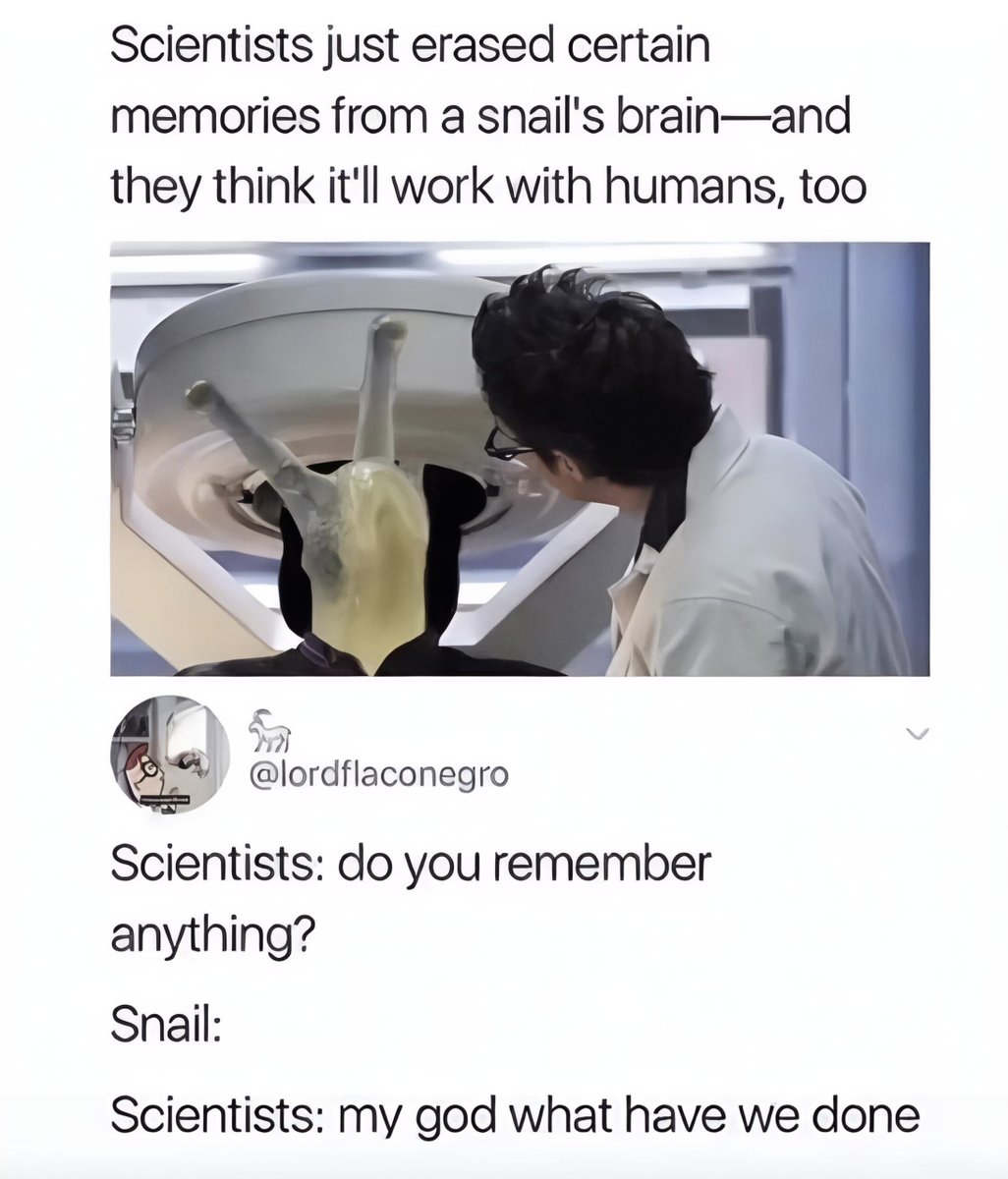 V.I.V.E.K tweet media