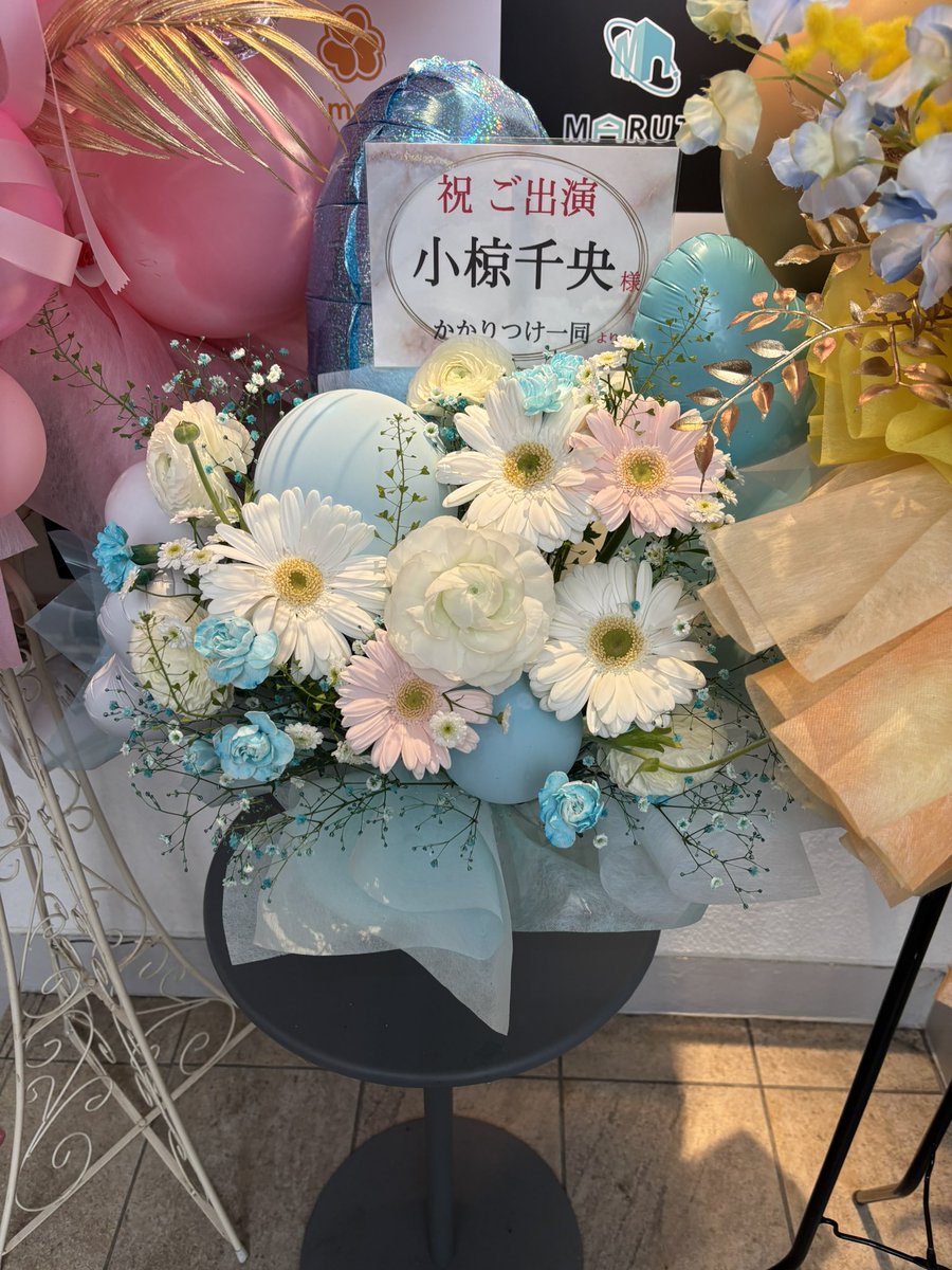 アポロガイスト tweet media