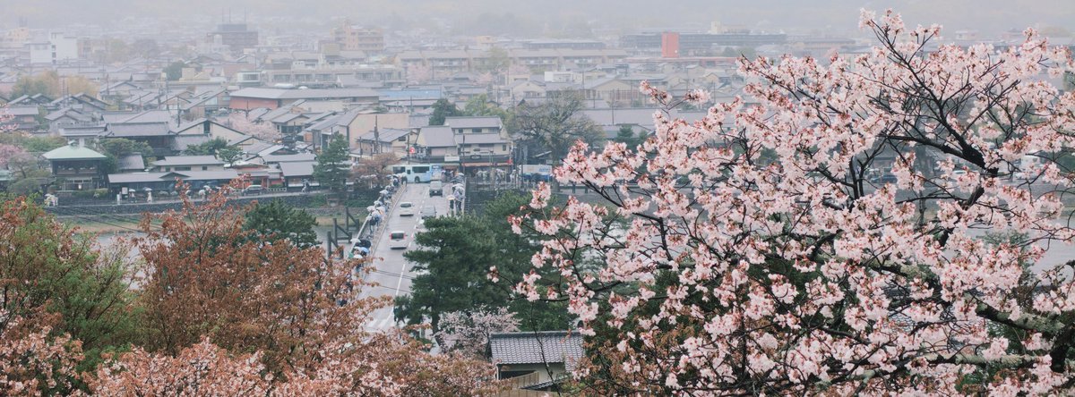 馬走日 tweet media