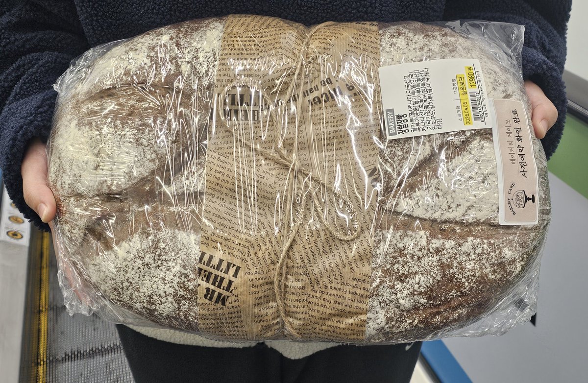 사이오 tweet media