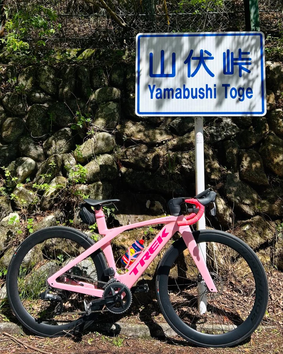FZseeharod's tweet photo. 土曜日のサイクリング🥰🥰 https://t.co/NA5VS4vUN0
