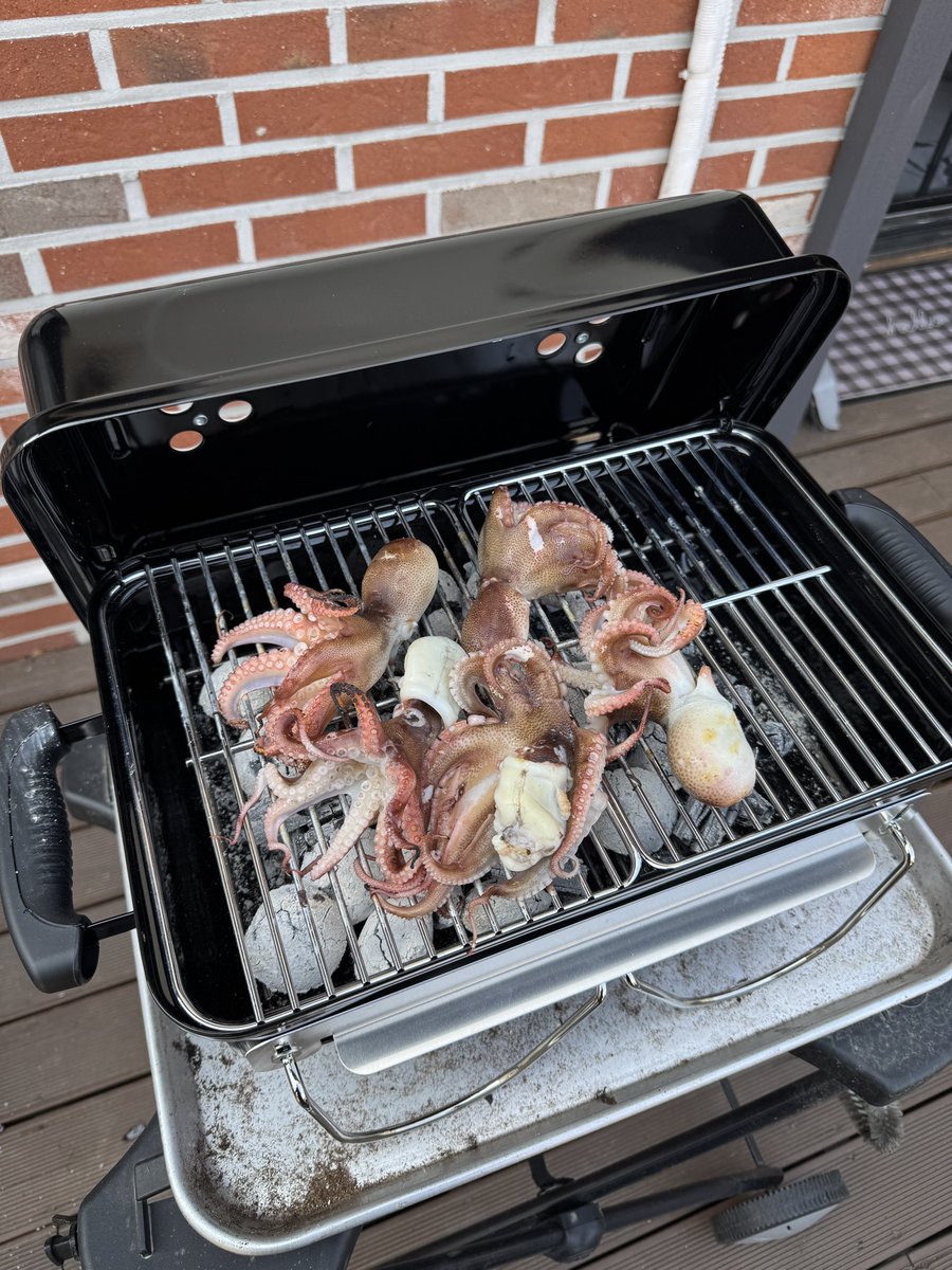 FIT.PILOT tweet media