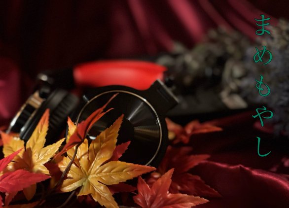 MCゲスムート@BIG DRAGON@ナスのポテンシャル@高知のマルチ一般人 tweet media