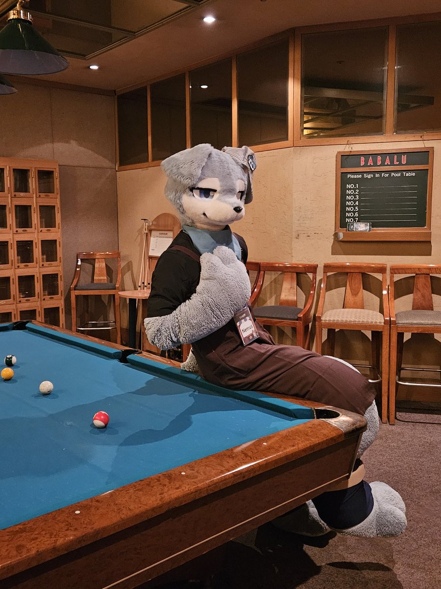 치푸_チプ➡️FurstClass tweet media