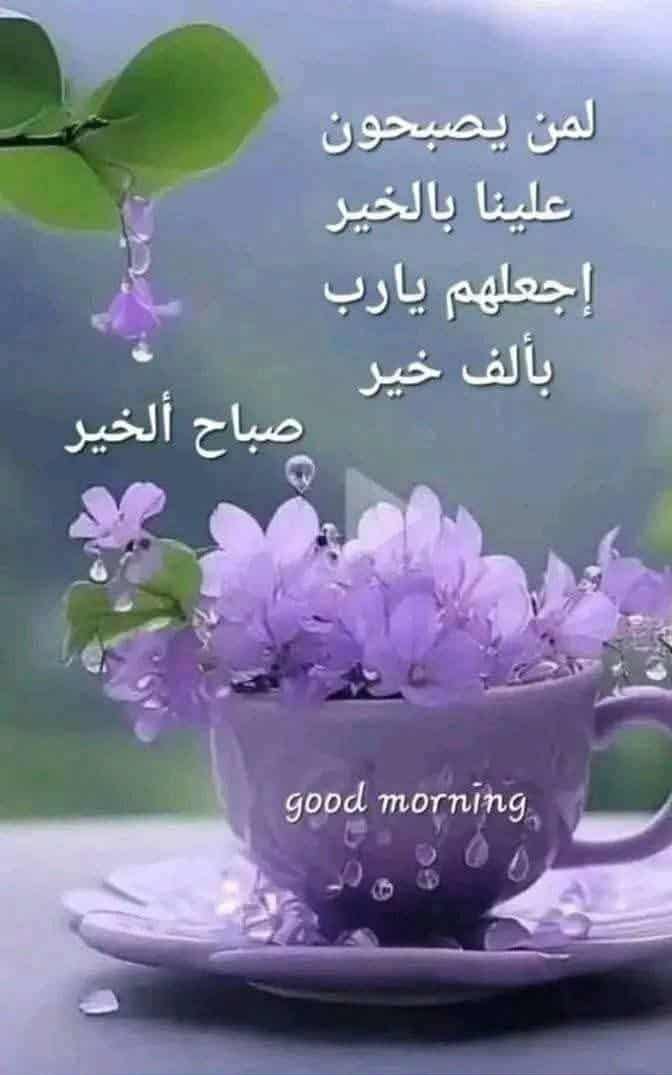 mohamed salam tweet media