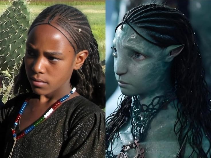 👑 J³ABz👑 tweet media