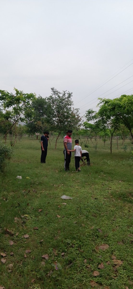 SamarpanCare's tweet photo. वृक्ष धरा के भूषण हैं, करते दूर प्रदूषण हैं।" 🌳
समर्पण वेलफेयर ट्रस्ट द्वारा छायादार व फलदार वृक्षों का वृक्षारोपण 🌱
आइए हम सब भी संकल्प लें—हर खास मौके पर एक पौधा लगाएं और उसे बड़ा करें।
@CMBhardwaj1
@star_alok
#TreePlantation #GoGreen #SaveEnvironment #PlantATree #GreenIndia https://t.co/NAjoK00iG7