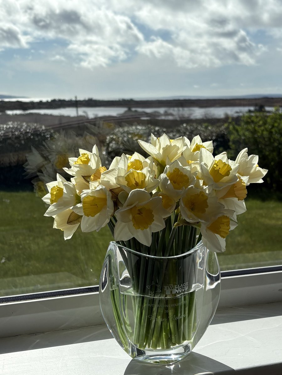 Brian Nolan. Storyteller. Fun Walking Tours tweet media