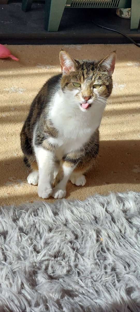 Madame Cholet, Wombling along tweet media