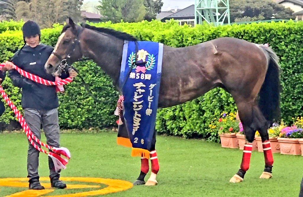 石川ことみ tweet media