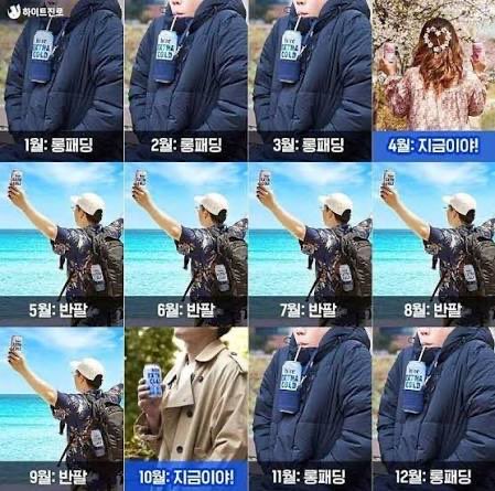 짤백업용 tweet media