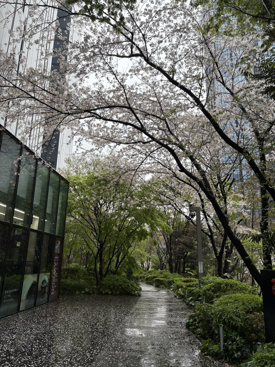 Ayako Virginie Ôno tweet media