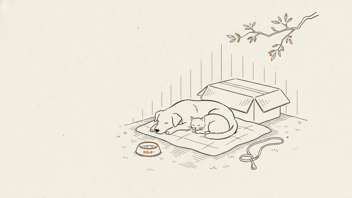 Patigo — Türkiye’nin pet-tech ekosistemi tweet media