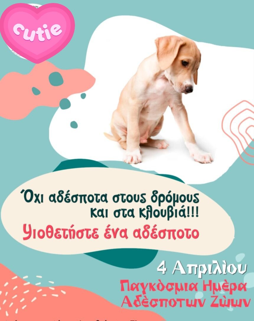 🐶🐈🐕Paristzina🐾🐈🐾🐯🐾🐴🦄🐾 tweet media