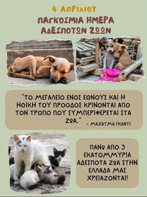 🐶🐈🐕Paristzina🐾🐈🐾🐯🐾🐴🦄🐾 tweet media