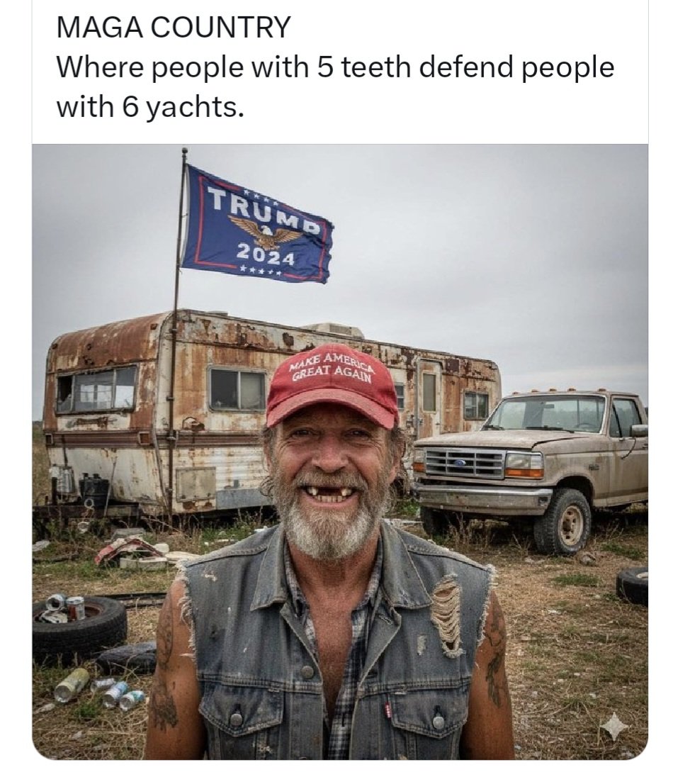 @RoomGecko tweet media