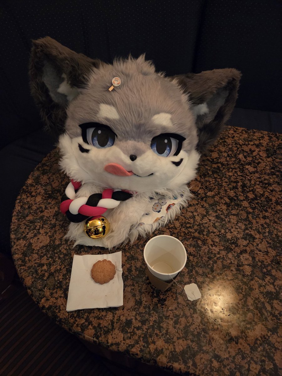 수상한 코인 tweet media