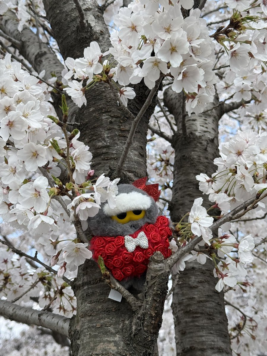 칠칠이 tweet media