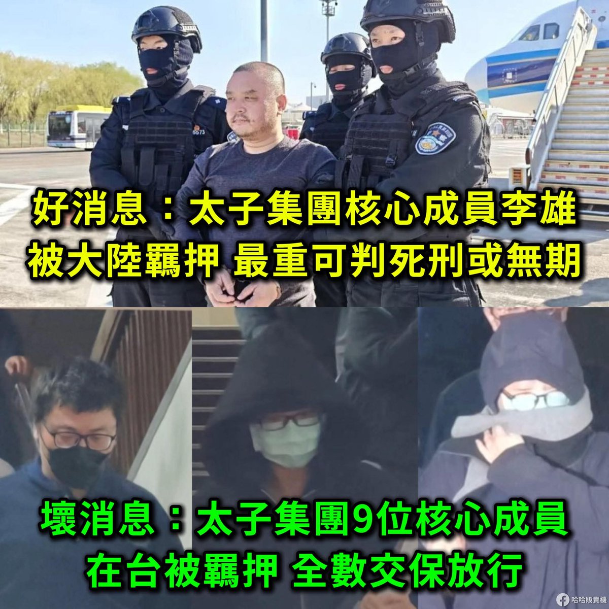 徐芳麗 tweet media