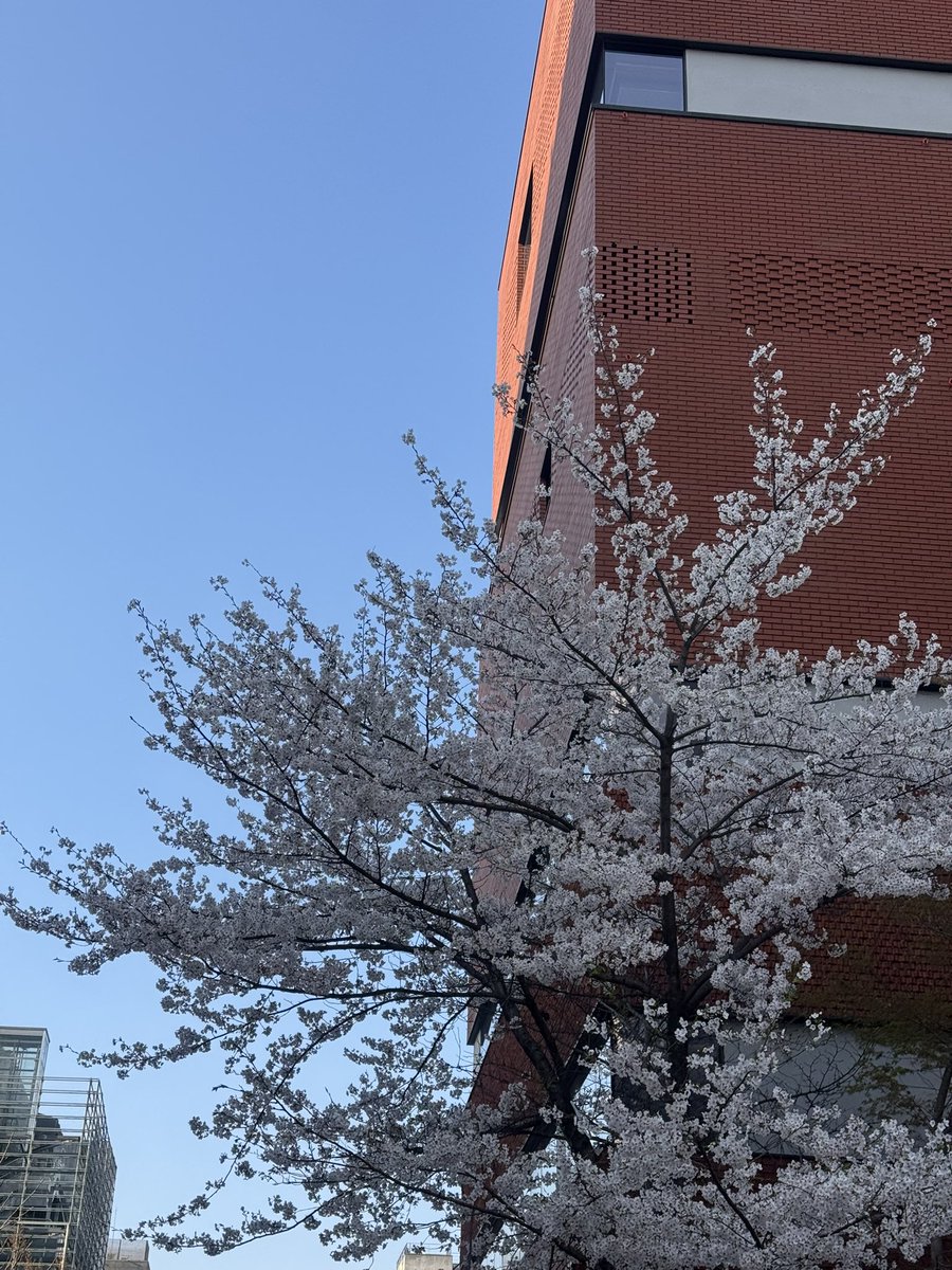 연뮤라운지2호점 tweet media