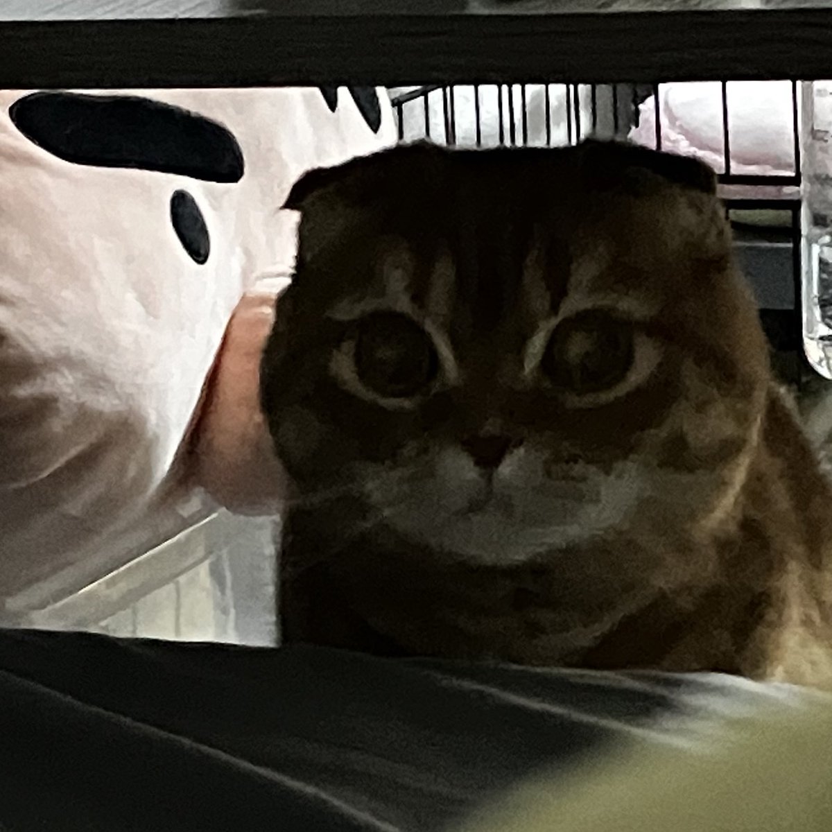 FUNK SAPPORO / 札幌セレクトショップ tweet media